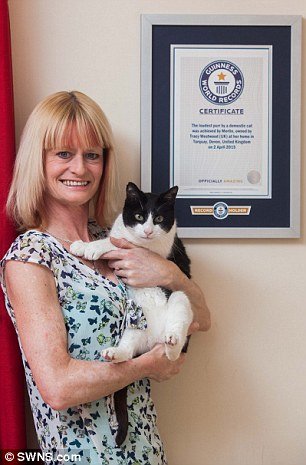 2897D71700000578-3078935-Merlin_has_secured_a_Guinness_world_Record_for_the_domestic_cat_-a-18_1431468708518