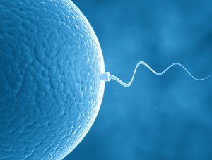 Blue-image-sperm-cell-egg