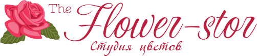 flow-logo-1422012963