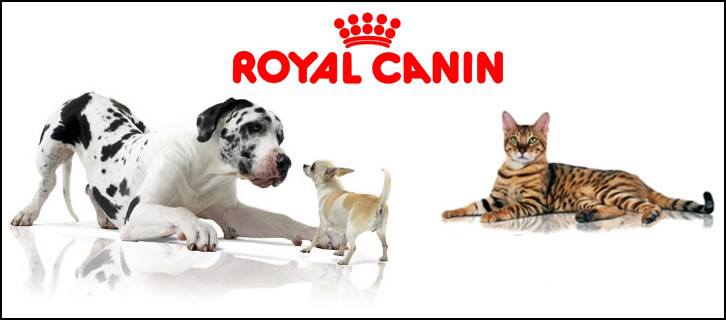 Новости Днепра про Cкидка 15% на корм Royal Canin!