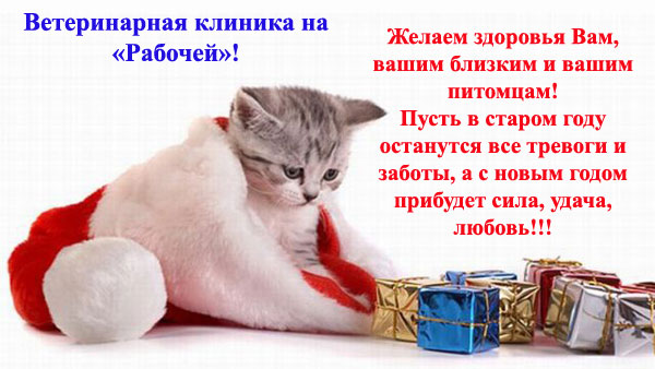 Новости Днепра про График работы в праздничные дни Ветеринарной клиники на «Рабочей»!