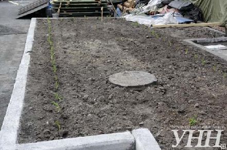 Новости Днепра про На Майдане Незалежности активисты посадили огород и хотят завести свиней (фото)