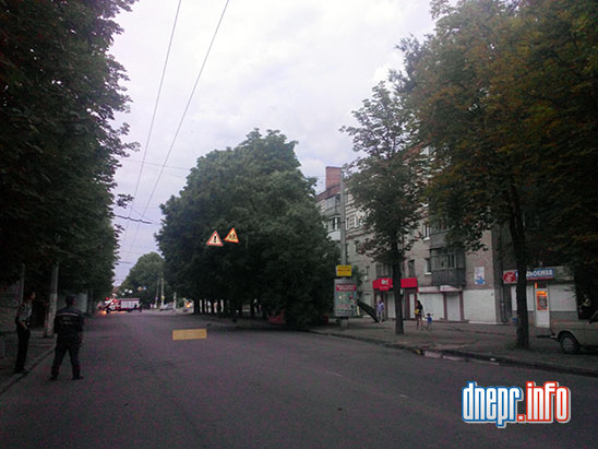 Новости Днепра про В Днепропетровске на улице Титова завалилось дерево (ФОТО)