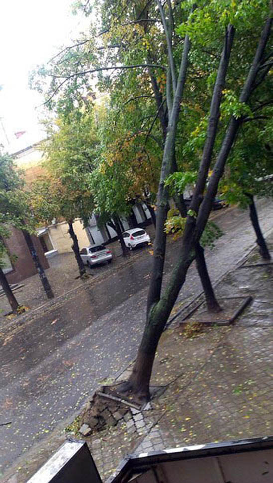 Новости Днепра про Транспортный коллапс и ураган в Днепропетровске продолжаются (ФОТО, ВИДЕО)