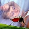 В Севастополе мужчина умер от малярии