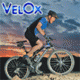 Интернет-магазин велопродукции «Velox»!