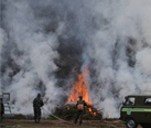 На Днепропетровщине тушили лесные пожары (ФОТО)