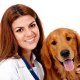 Консультация и лечение ветеринарного врача