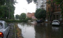 Из-за погоды на проспекте Пушкина упало дерево на провода. На дороге много воды