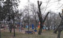 Днепряне просят мэра запретить обрезку деревьев «под столб»