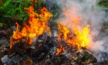 Активисты Днепра обратились к президенту насчет сжигания мусора