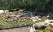 На Днепровском водохранилище браконьер выловил 140 килограмм рыбы электроудочкой