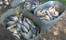 Престарелый браконьер выловил в Днепропетровской области 434 рыбы
