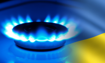 В Украине выбрали более дешевую замену газу