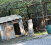 Новости Днепра про Зверей.НЕТ: зоопарк на Монастырском покинули последние обитатели