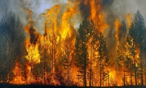 За 2017 год в области было зафиксировано более 300 пожаров