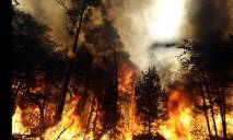 8 тысяч пожаров зафиксировано за 2017 год в Днепропетровской области