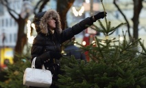 Легальные точки продажи новогодних елок в Днепре