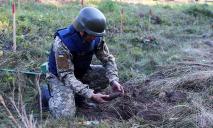 В Украине уничтожено около 80 тысяч взрывоопасных предметов
