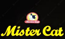 Пиццерия «Mister Cat»: теперь и в Днепре