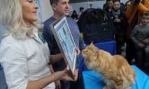 Кот-гигант: знаменитый кот Днепра стал самым большим котом Украины