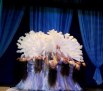 Новости Днепра про Шоу-балет