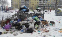 Как в Днепре «действует» закон о сортировке мусора