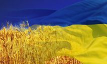 В Днепре занимались проектом, объединяющим Украину