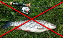 Плохая новость для рыбаков: рыбачить в Украине нельзя
