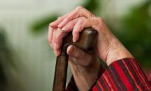 В Днепре начала действовать пенсионерка-истязательница