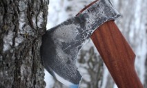 В Днепропетровской области поймали «дровосеков в законе»