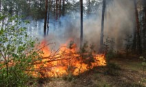 Леса Днепропетровщины начали воспламеняться