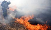 В экосистемах региона возросло число пожаров