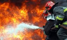 Жаркий Днепр: ГСЧС зафиксировала множество возгораний
