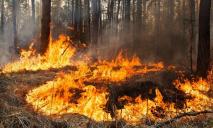 Более 100 пожаров: в чем причина