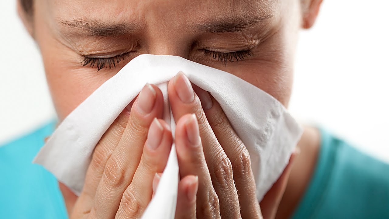 Новости Днепра про Как бороться с круглогодичной аллергией – рекомендации лаборатории «Иммунотест»