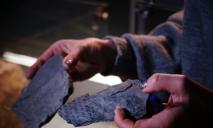 В музее Днепра появились экспонаты возрастом 300 миллионов лет