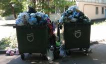Вывоз мусора дорожает: причины и реакция горсовета Днепра