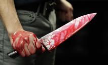 Школьник устроил «кровавую резню»: подробности