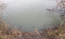 Ужасный запах и мертвая рыба: озеро в Днепре превратилось в бедствие