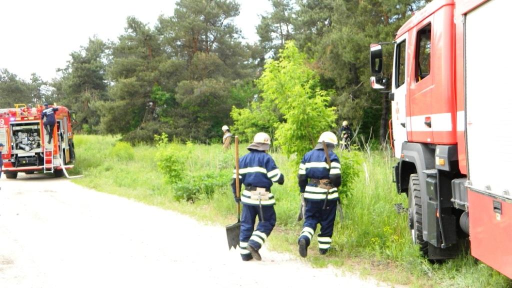 Новости Днепра про Лесные пожары: что делали спасатели