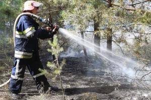 Огонь уничтожил гектар леса. Новости Днепра