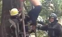 На Днепропетровщине спасатели помогли мужчине спуститься с дерева