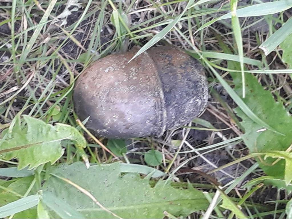 Парень нашел гранату прямо в реке. Новости Днепра