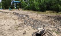 Пляж в Приднепровске полностью очищен: безопасно ли его посещать