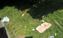 Коробка от пиццы, пустые бутылки и объедки прямо на газоне: детскую площадку в Днепре превратили в мусорный бак