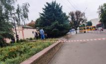 В центре города под деревом нашли тело женщины: имеется версия случившегося