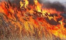 Сильный пожар в экосистеме: спасатели долго пытались затушить огонь