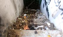 Трущобы Днепра: шприцы, свалки и постоянная опасность для детей – в каких условиях живут жители Тополя