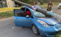 Водителю стало плохо: электрокар Nissan Leaf влетел в электроопору